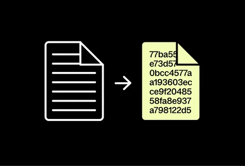 Craft CMS plugin for Encrypted transactions
